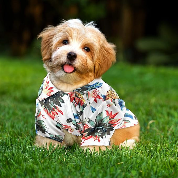 4 Pieces Summer Pet Shirts Hawaii Style Floral Dog T-Shirt Hawaiian
