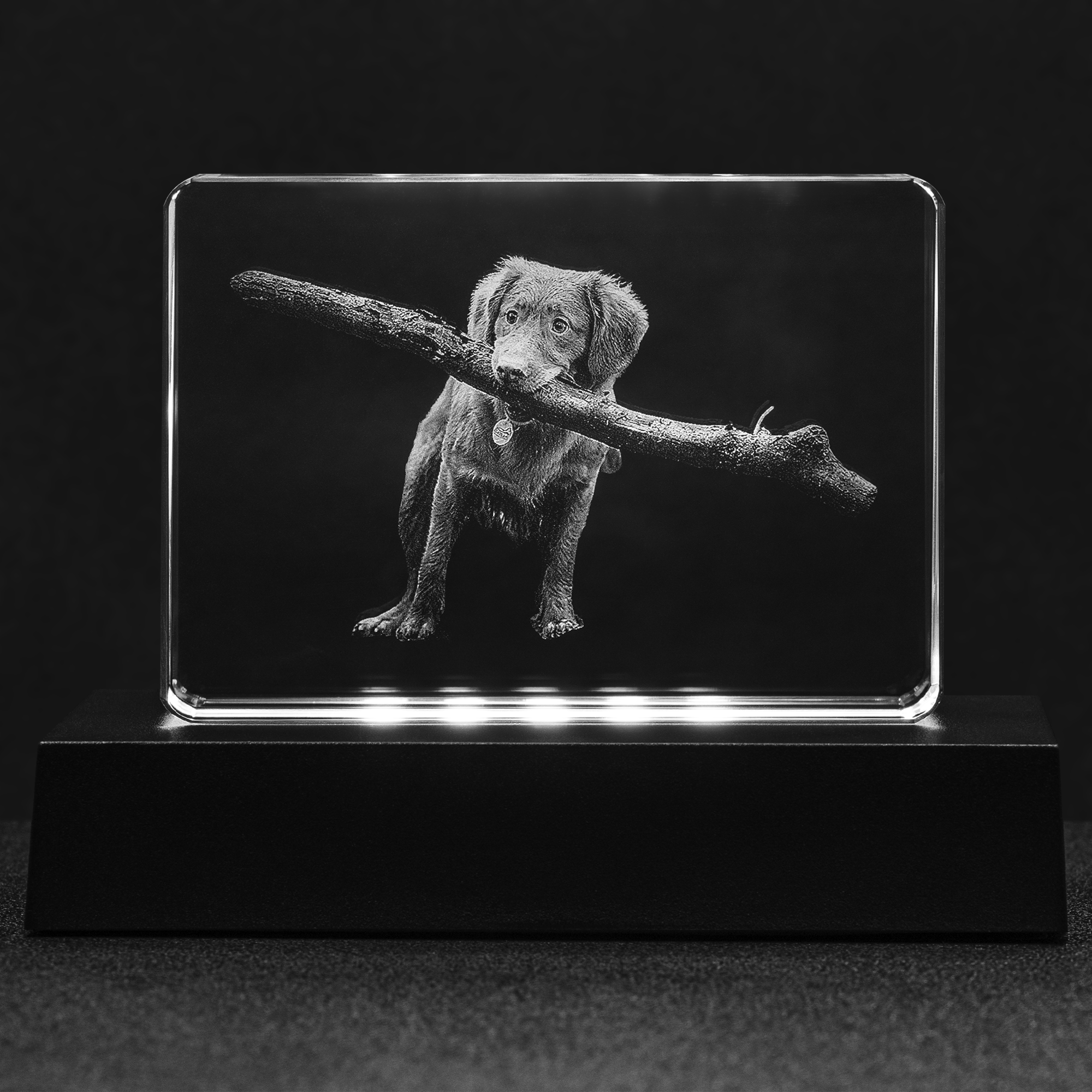 Personalized Photo Crystal of your special dog
