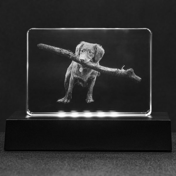 Personalized Photo Crystal of your special dog