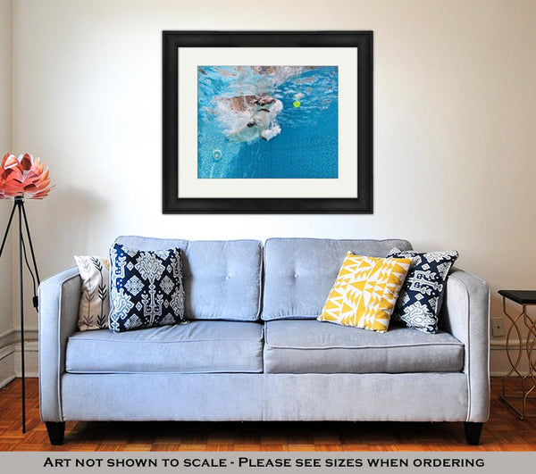 Framed Print, Playful Jack Russell Terrier Puppy In Swimming Pool Has Fun Dog Jump And Dive