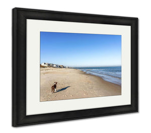 Framed Print, Bordeer Collie On Beach