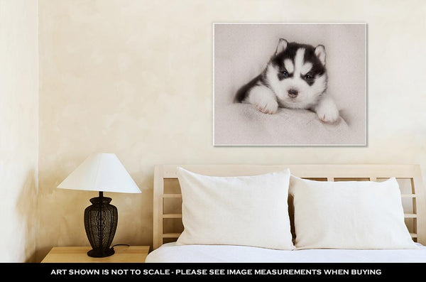 Gallery Wrapped Canvas, Cute Siberian Husky Puppy